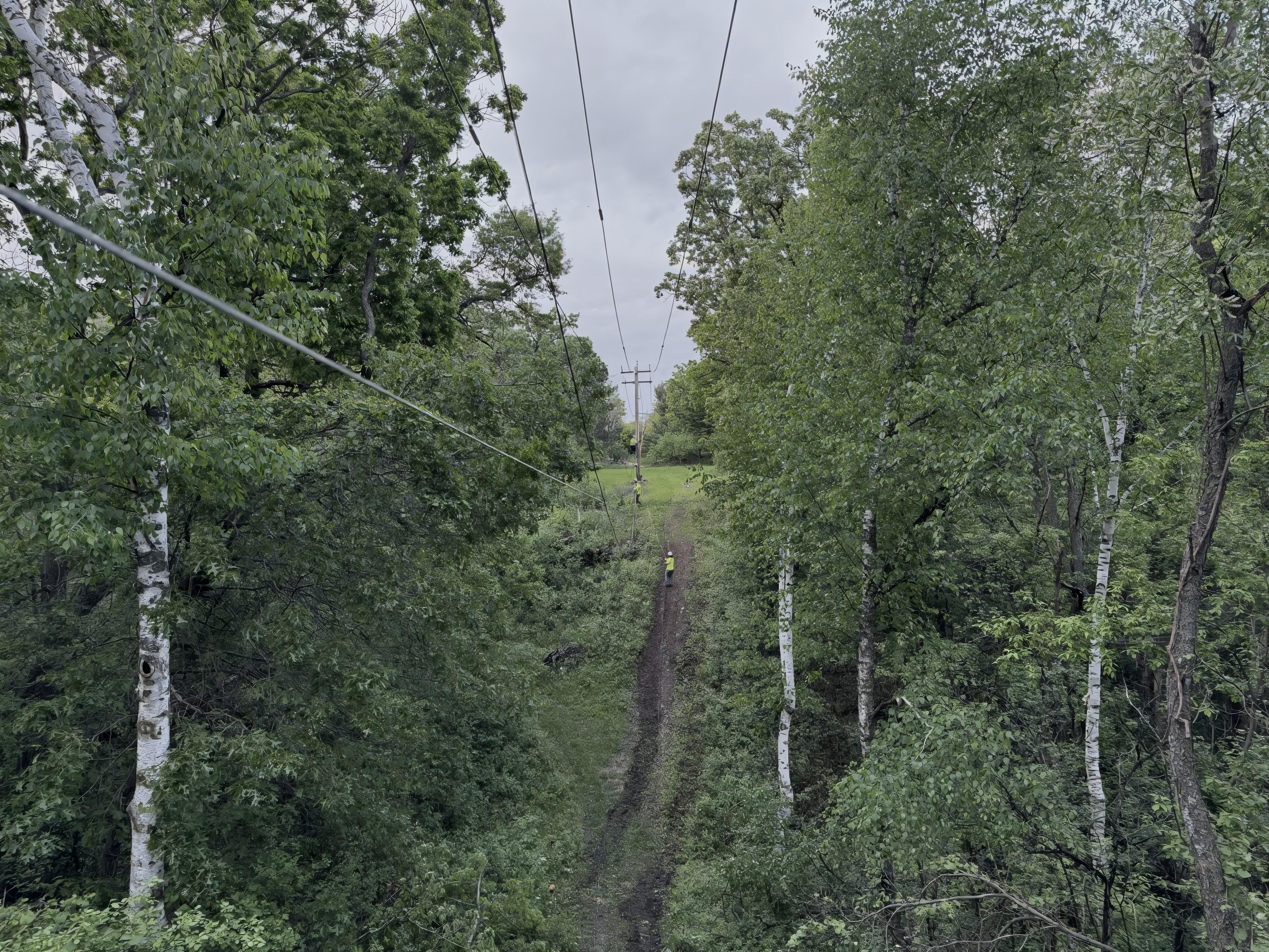 MCI fiber right-of-way cut through the woods toward a Midwest sky